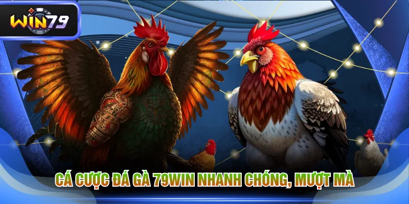 Cá cược đá gà 79WIN nhanh chóng, mượt mà