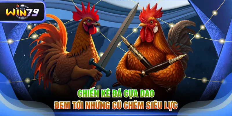 Chiến kê đá cựa dao đem tới những cú chém siêu lực