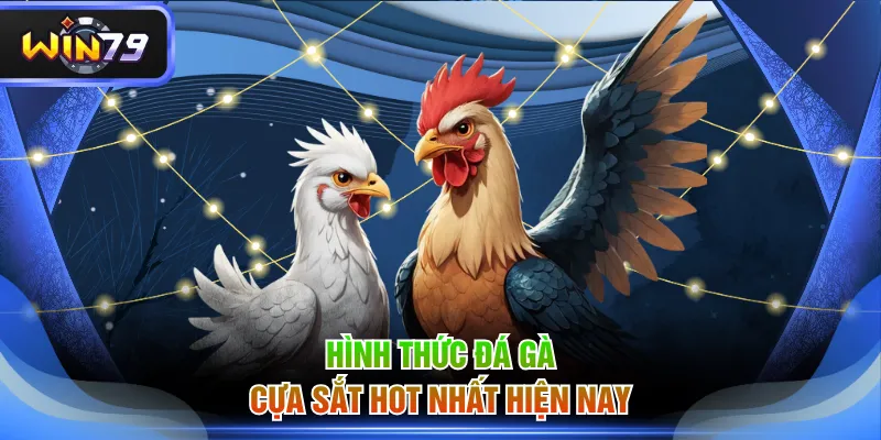 Hình thức đá gà cựa sắt hot nhất hiện nay