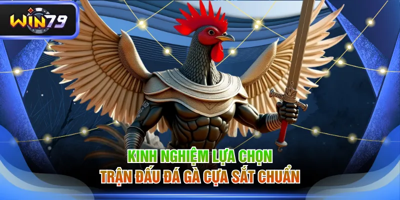 Kinh nghiệm lựa chọn trận đấu đá gà cựa sắt chuẩn