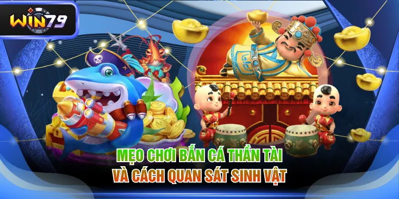 Mẹo chơi bắn cá Thần Tài và cách quan sát sinh vật