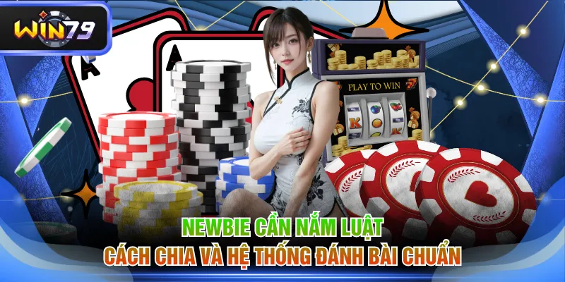 Newbie cần nắm luật, cách chia và hệ thống đánh bài chuẩn