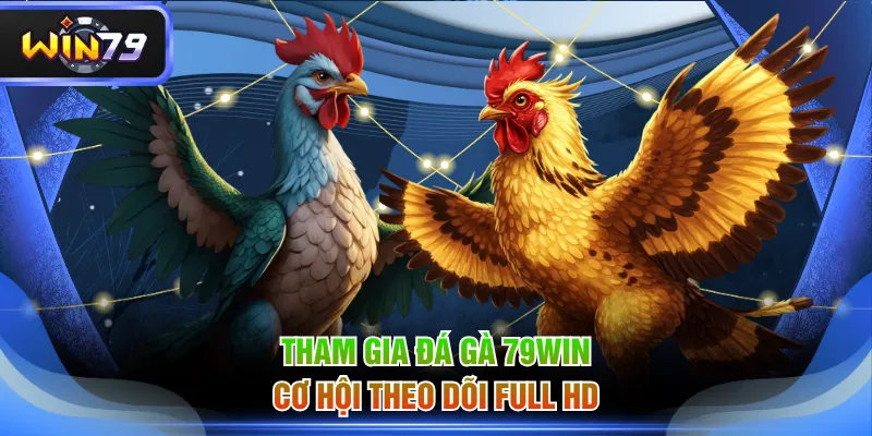 Tham gia đá gà 79WIN cơ hội theo dõi full HD