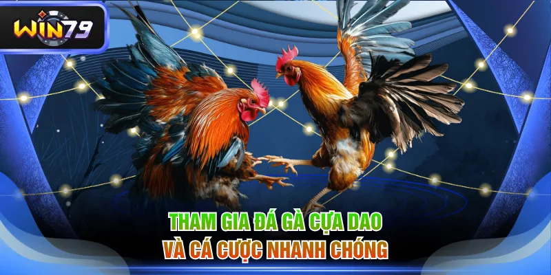 Tham gia đá gà cựa dao và cá cược nhanh chóng