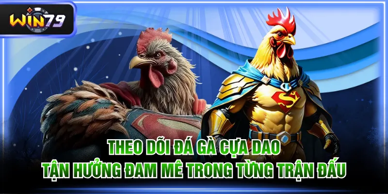 Đá gà cựa dao